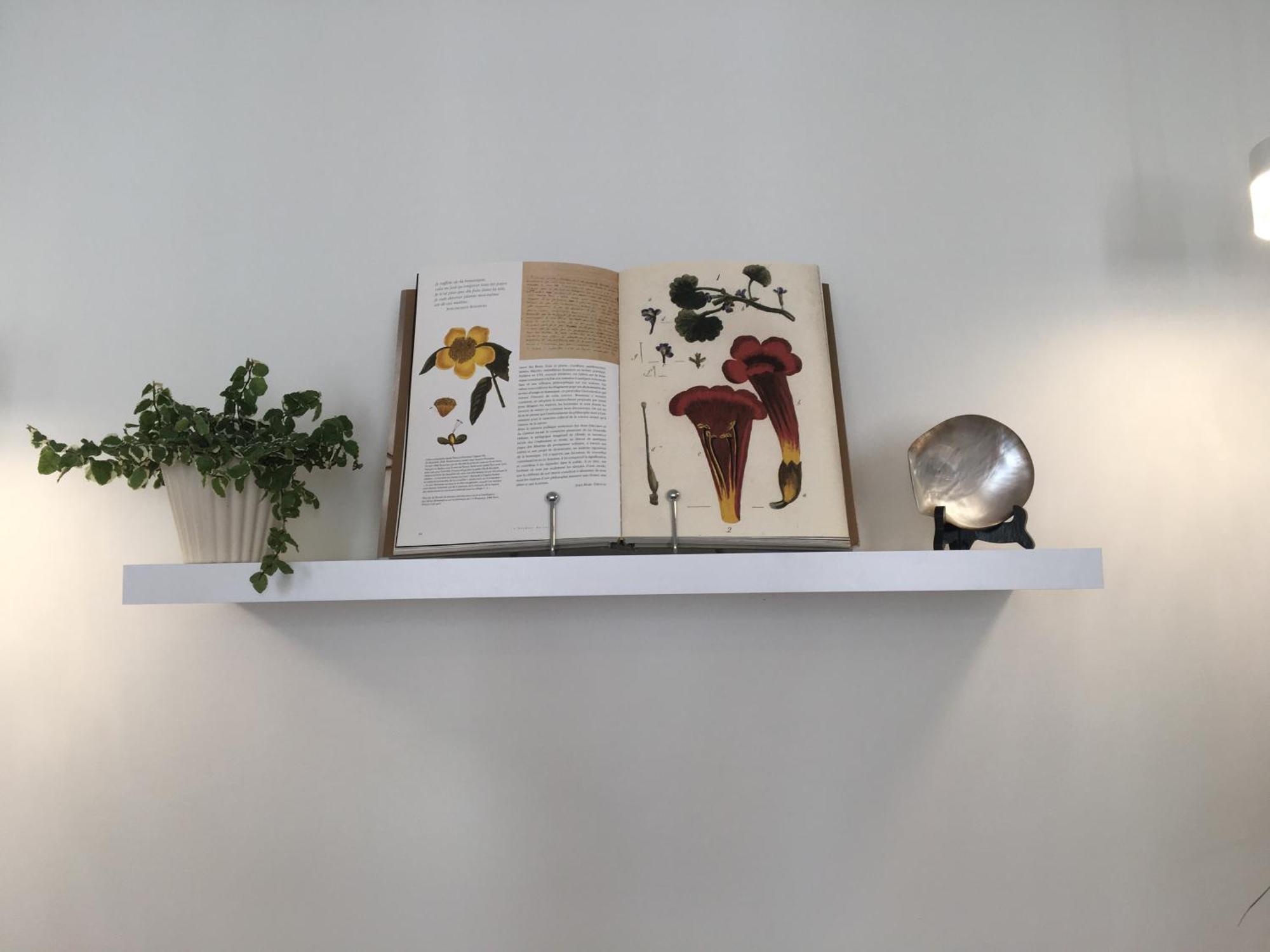 Appartement Coeur Vieille Ville La Rochelle  Extérieur photo